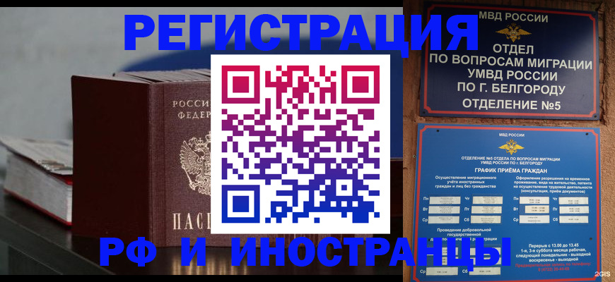 прописка 2025 в Волоколамске